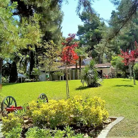 Suave Sani With Shared Pool Villa